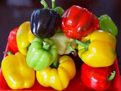 How to grow colored sweet peppers?