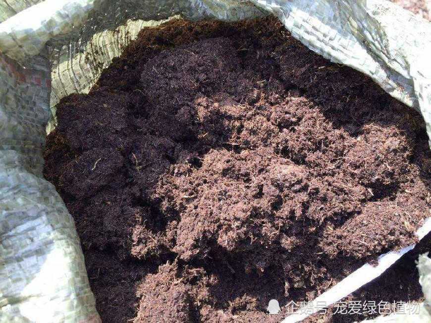 With this kind of soil, the roots of Clivia are thick and the leaves are green. It can be used for half a year without fertilization. The effect is very good.