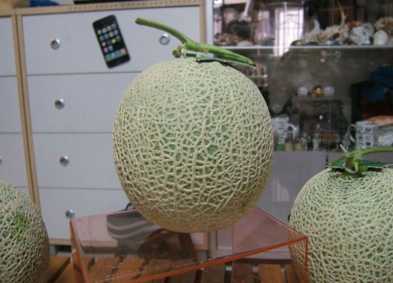 It claims to be the most expensive fruit in the world. Japan sells it for 100000 yuan and China can buy three of them for 10 yuan.