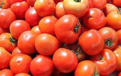 How to promote the redness of tomato