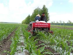 Conservation Tillage techniques of Spring Maize