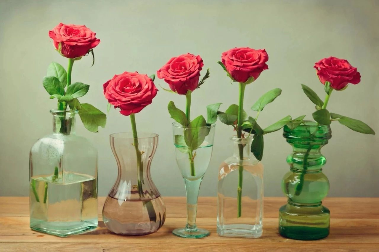 With these five simple techniques, the flowers you buy or cut can stay fresh for longer.