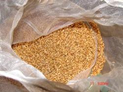 How to disinfect rice seeds