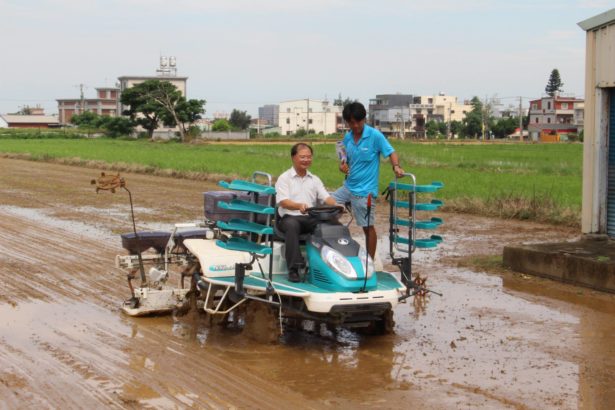 Don't bend over when you farm. Rice can also be direct seeded without raising seedlings and transplanting seedlings. Rice is more delicious and saves 15% of water.