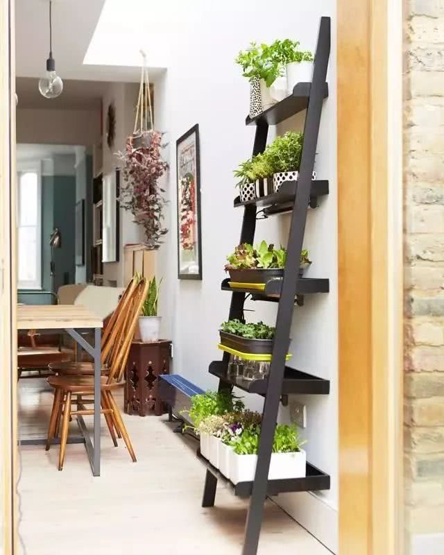 DIY's three creative windowsill flower racks indoor aerial vegetable gardens