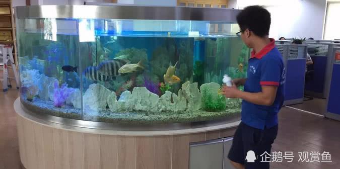 Hangtai Aquarium: trouble with seawater tank maintenance? Actually this is not so