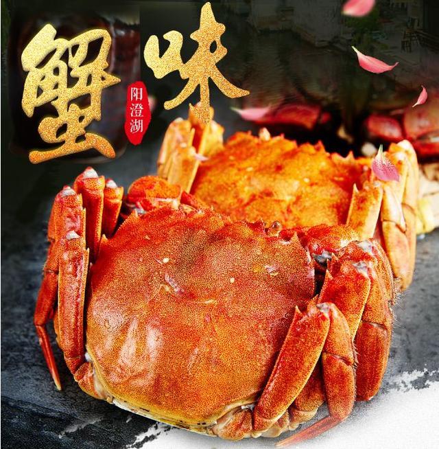 10000 authentic Yangcheng Lake hairy crabs were sold in an hour, and the price went up as soon as the lake opened.