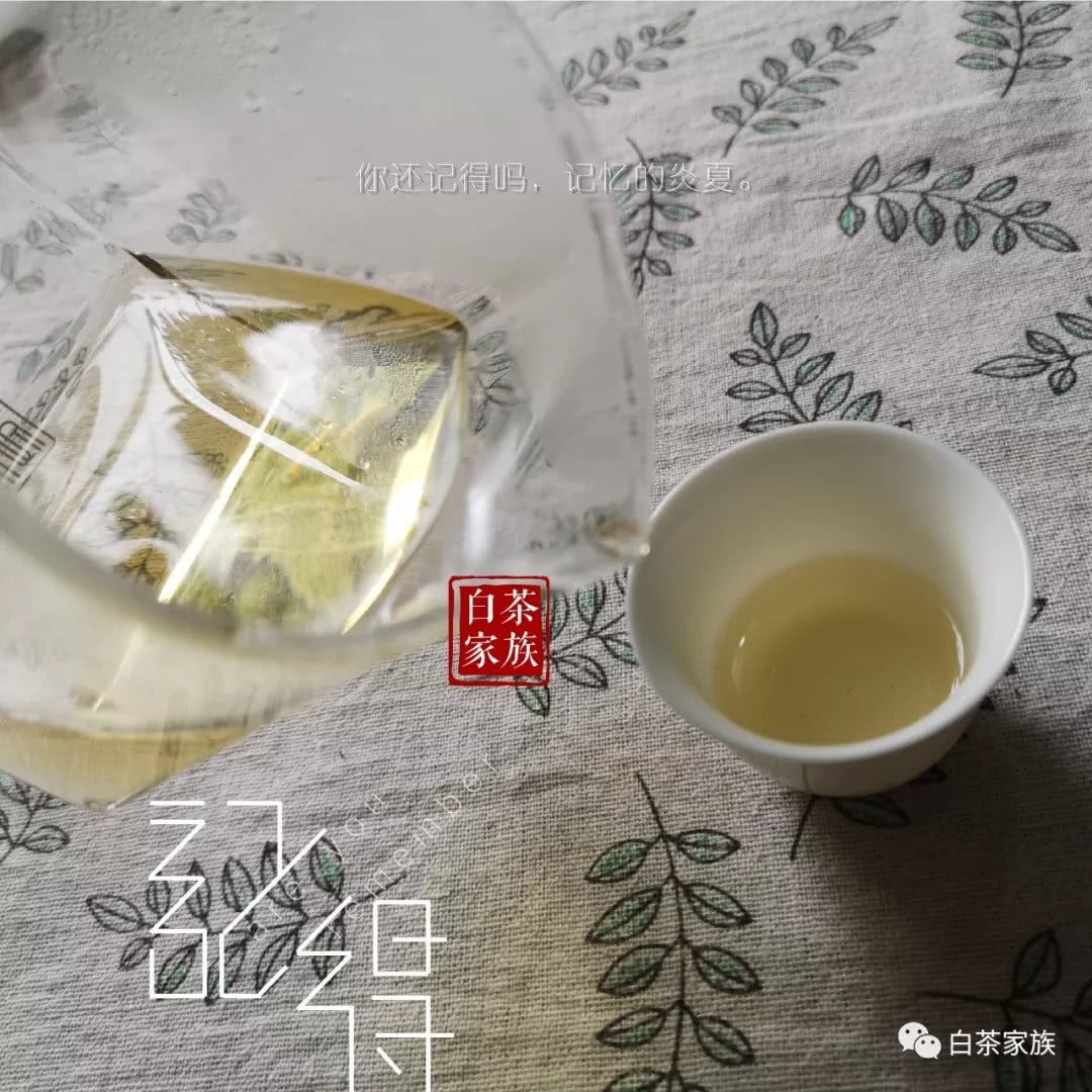 From the aroma and taste of white tea, let you know whether to collect autumn or spring eyebrows