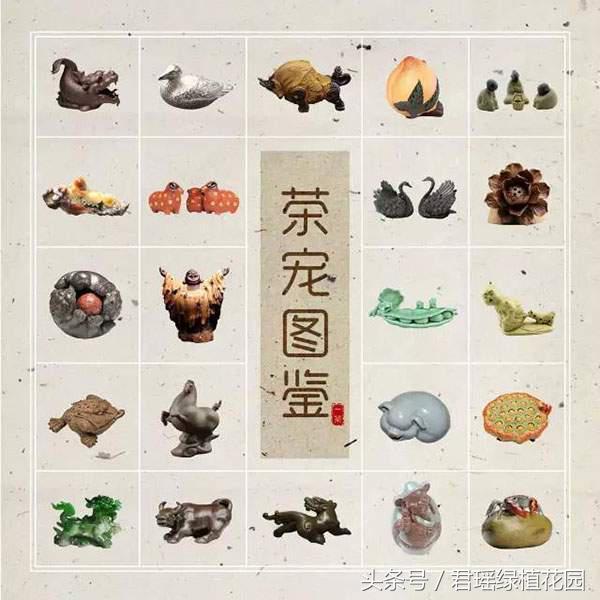 The most complete tea pet map in history (worth collecting)