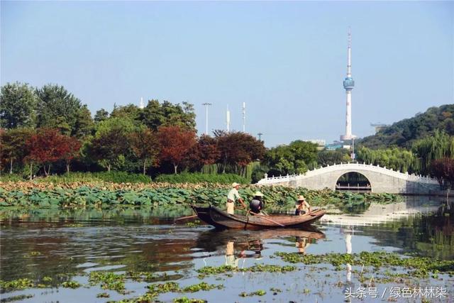 6.5 km greenway around Moon Lake the most beautiful living room in Wuhan will be gorgeously transformed.