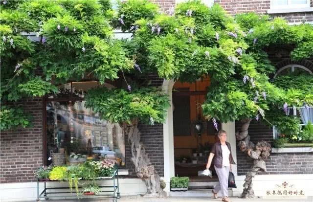 A German flower shop that has been open for 50 years