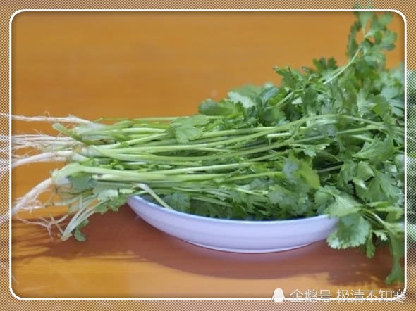 Growing parsley at home is quick and thriving with a little trick.