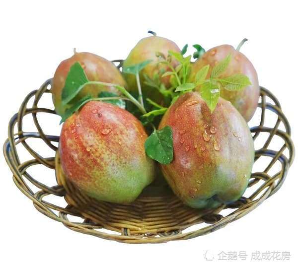 Eating more of these fruits in autumn is especially suitable for ladies who love beauty.