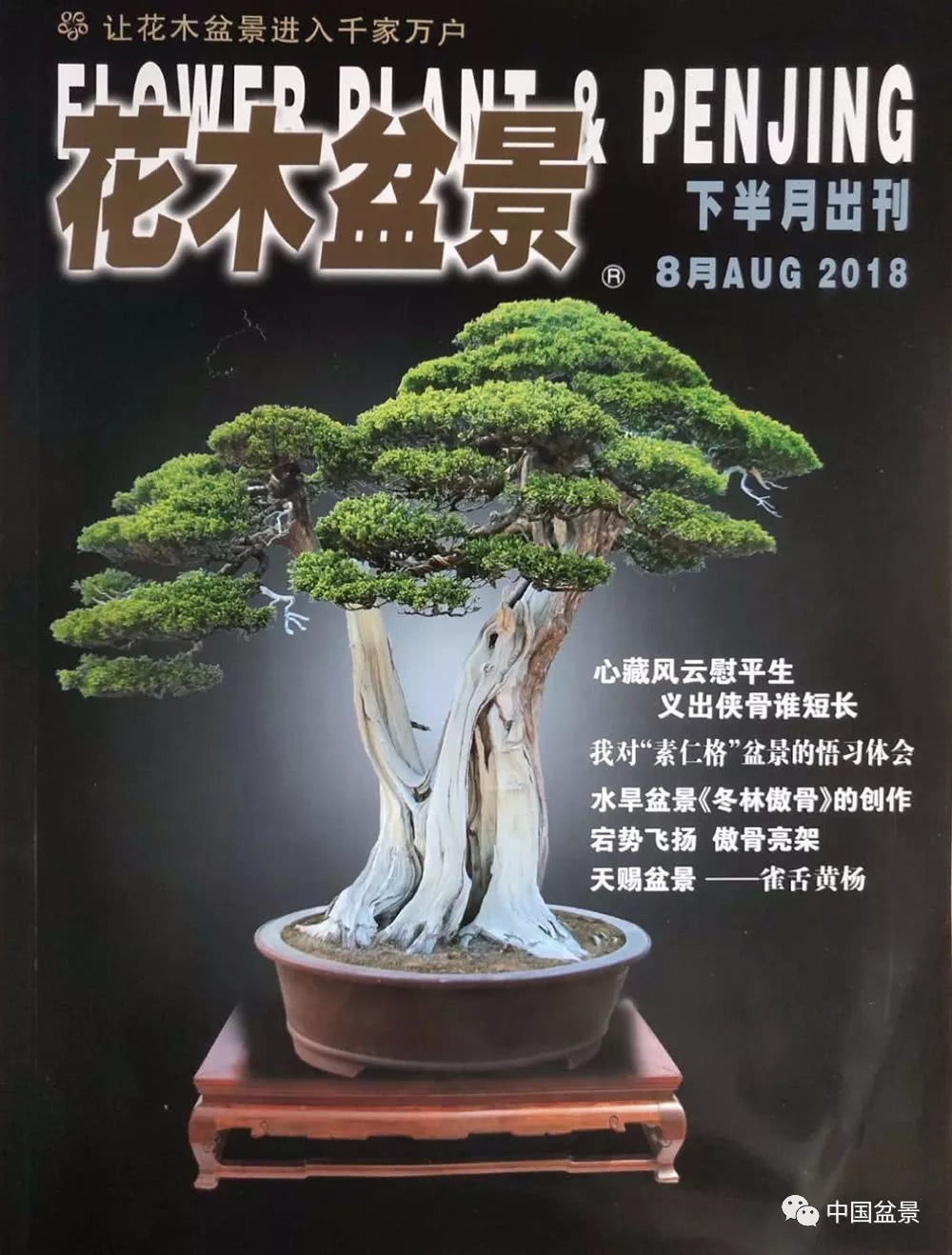 A probe into the unique modeling view of Jingchu pine bonsai