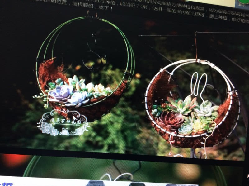 The iron succulent wreath made by husband DIY, netizens shouted, 