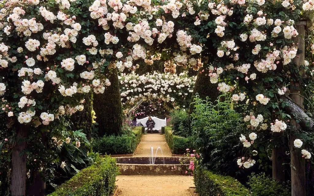 It is the last of the five major features of the rose garden in the world.