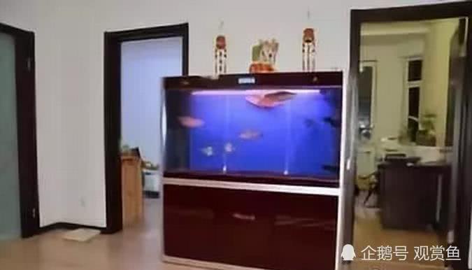 What kind of glass is more enjoyable to make a fish tank?