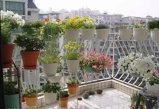 If you want the balcony at home to be beautiful, you can't mess up the layout of these plants.