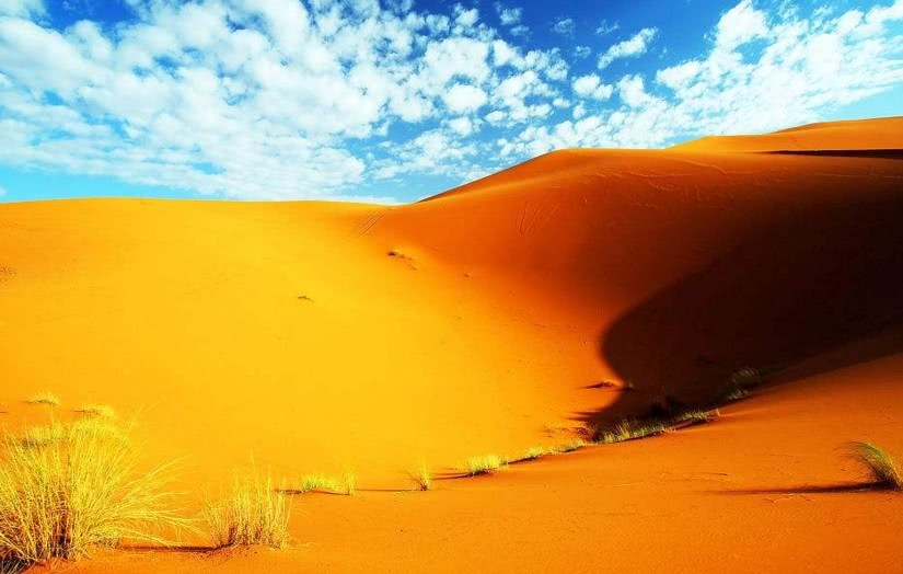 China's desert turns into an oasis to create a world miracle the United States is shocked: bluntly unbelievable