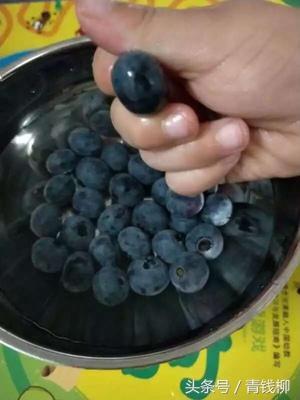 Cultivation techniques of Organic Blueberry in Dandong City, Liaoning Province