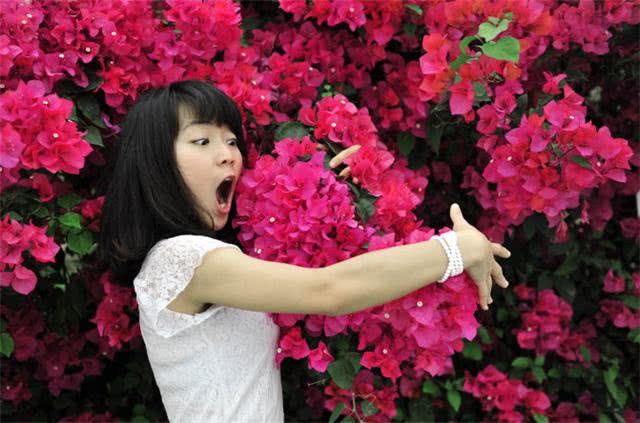 In September, these three kinds of wall climbing flowers are too beautiful to grow into a sea of flowers.