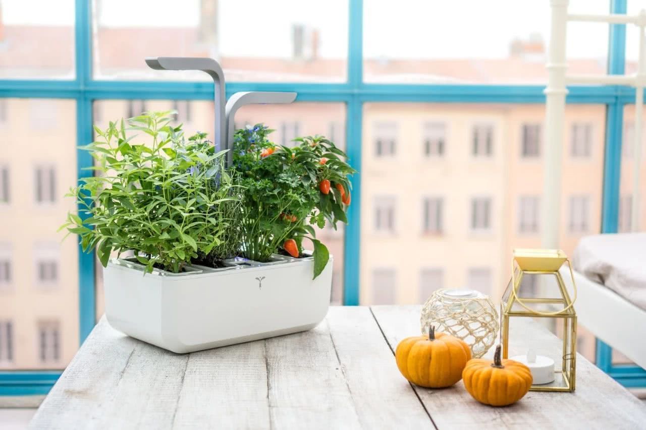 Four environmentally friendly ways to improve the kitchen environment: growing vegetables and composting is a good idea.