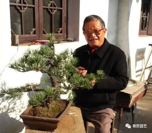 Chinese outstanding bonsai artist: Zhang Zailiang