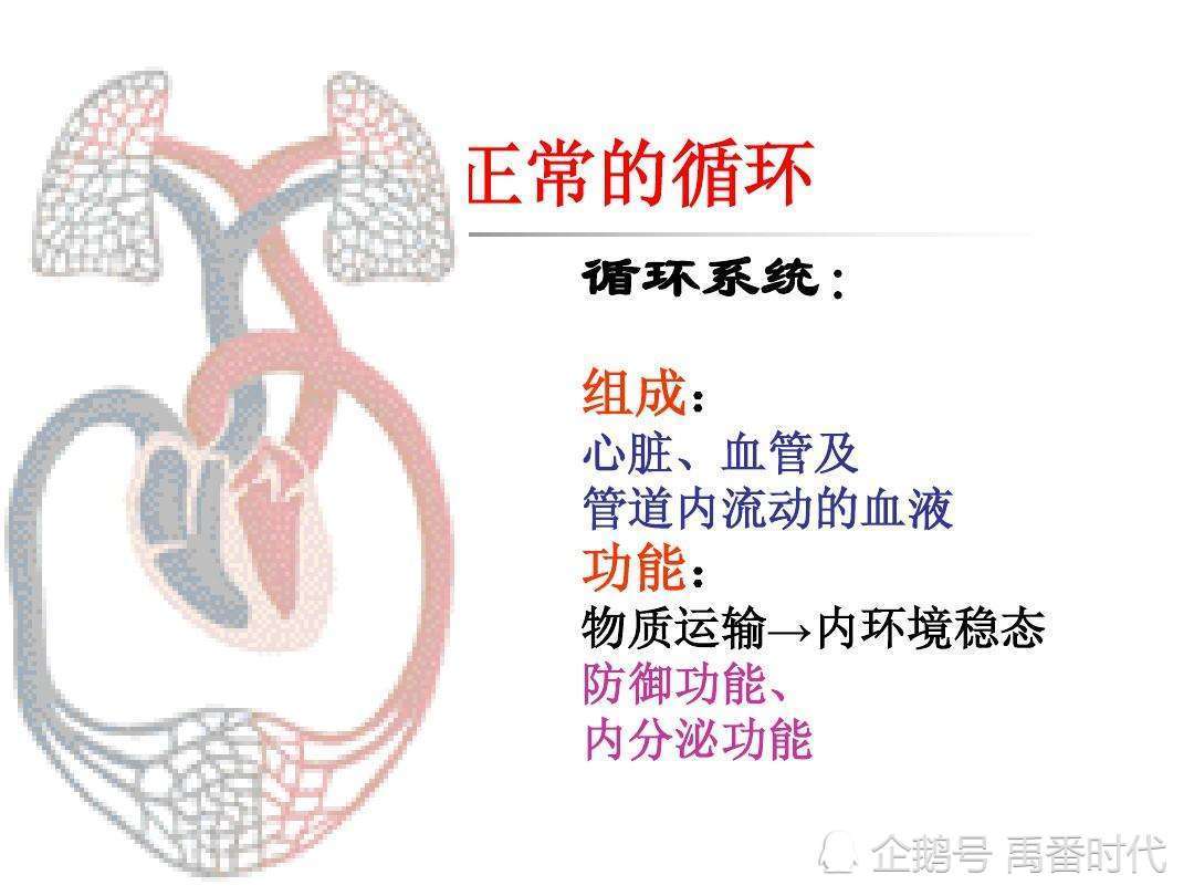 Dialectics of chest arthralgia and cold coagulation of heart pulse