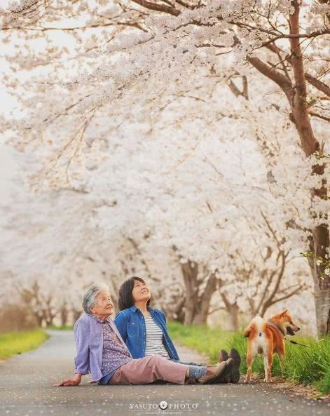 When Grandpa died, he took countless beautiful photos of the sea of flowers for his grandmother. Don't let the regrets of the rest of your life replace the companionship of this life.