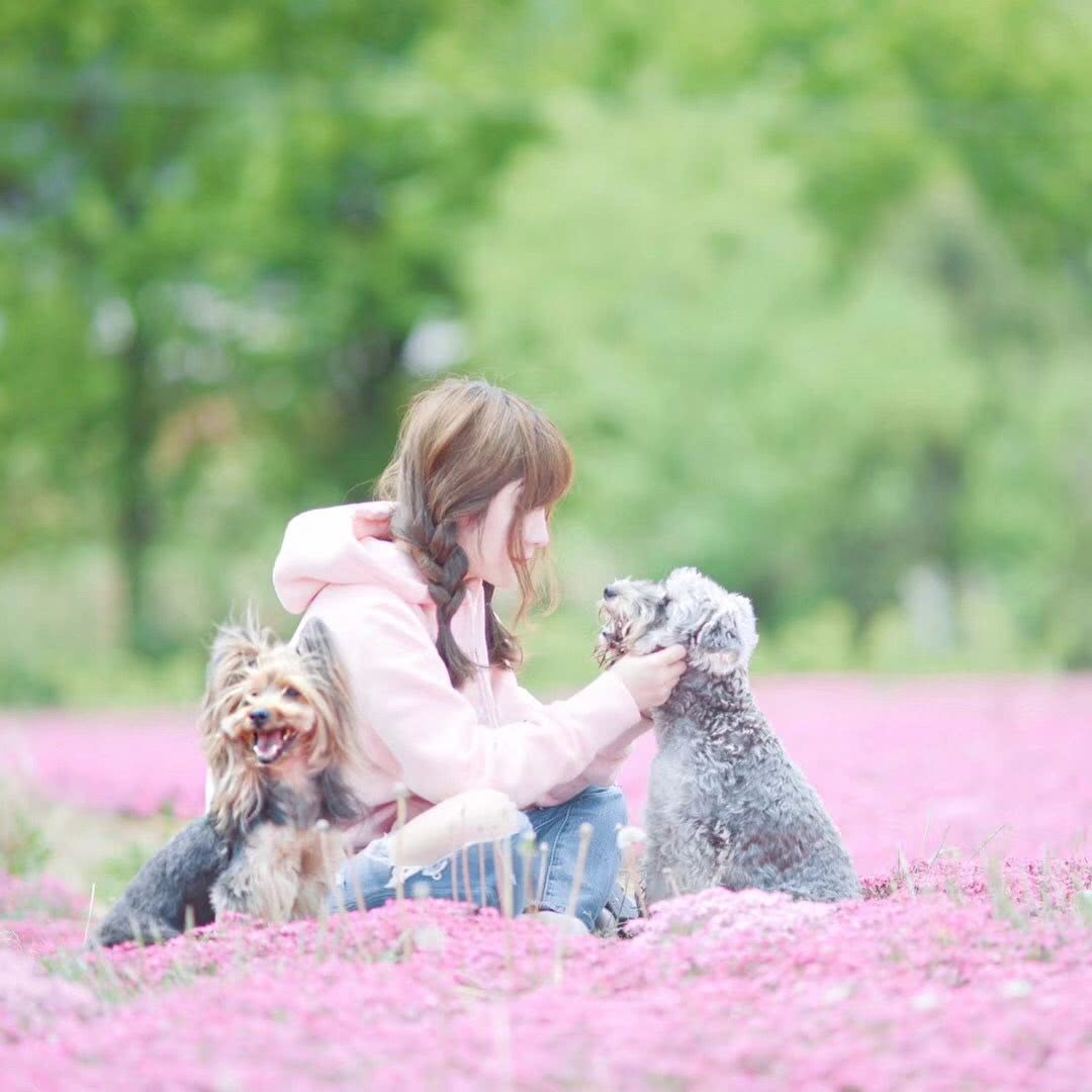 With 10, 000 yuan to grow 1300 yuan garden, the depressed girl took her mother to the mountain forest, a family, a village, a mountain to live a fairy tale.