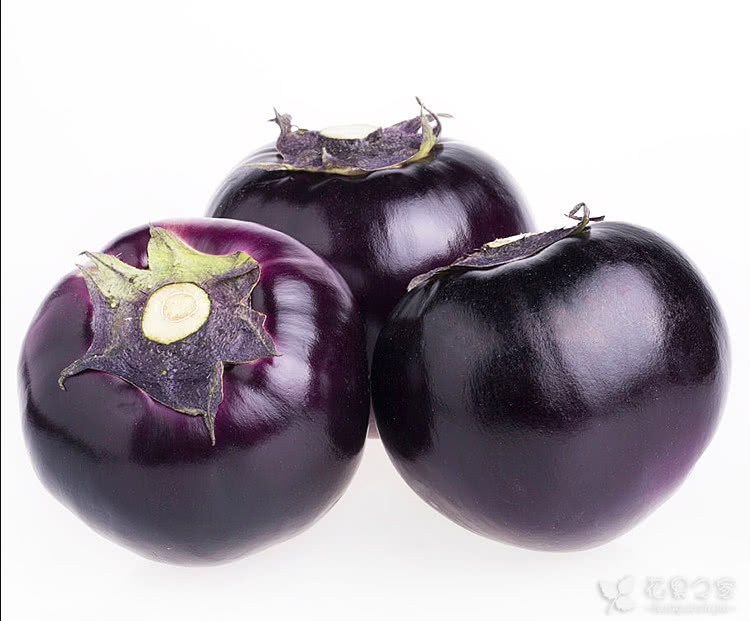 How to grow eggplant on the balcony? It only takes five simple steps to fill the ball.