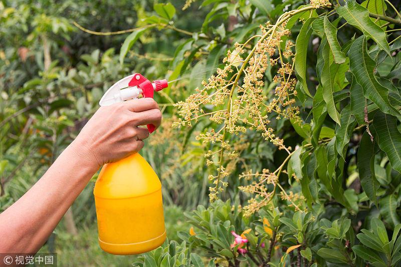 Don't just put some in the water to grow flowers. It doesn't have to be fertilized for a whole year. The branches and leaves can't stop.