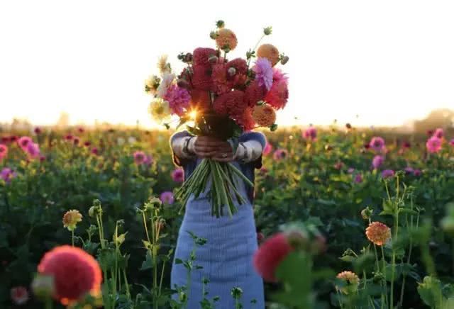 What kind of flower shop? she just opened a flower farm.