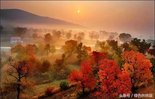 These seven places in Hubei take a glance at the autumn and look amazing for a year.