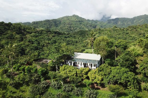 I love to be a copycat wife! Xu Meiju accompanied Lai Jintian to live in seclusion in Taitung, maintaining 30 hectares of forest dream.