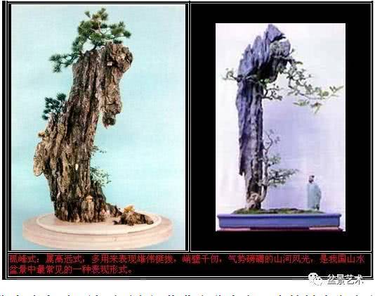 How to make Gufeng mountain and stone bonsai