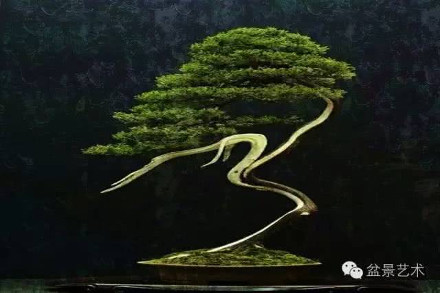 Bonsai art takes pursuing natural interest as the highest aesthetic ideal