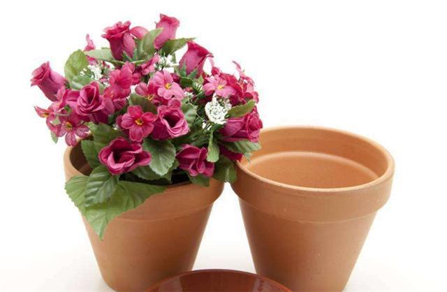 Pick up the flowerpot, pick up the soft hands and keep the flowers for another ten years. You don't have to buy flowerpots anymore.