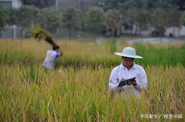 Some people say that Yuan Longping will be the richest man in the world if he applies for a patent for hybrid rice. Is that true?