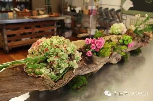 Dead trees turn into natural flower pots