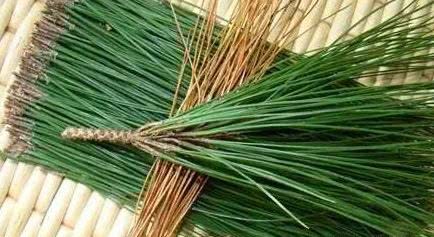 Pick it up when you meet a pine needle in autumn. It is also a treasure to raise flowers.