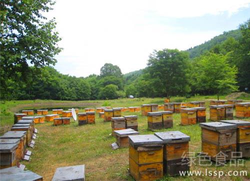 Summer honey source lack of queen bee spawning less how to prevent summer bees from declining in summer