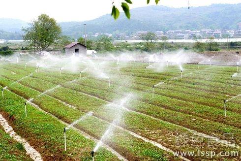 Introduction of five agricultural water-saving technical models for improvement