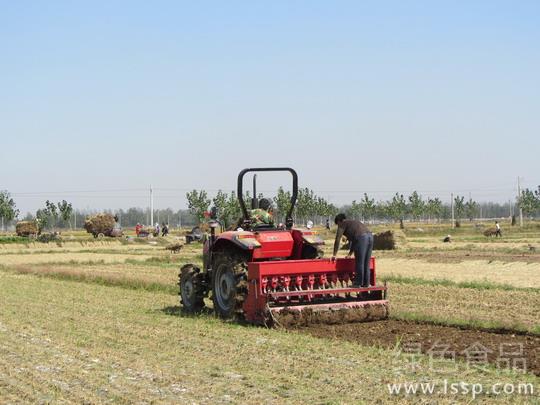 Time-saving, labor-saving and income-increasing wheat 