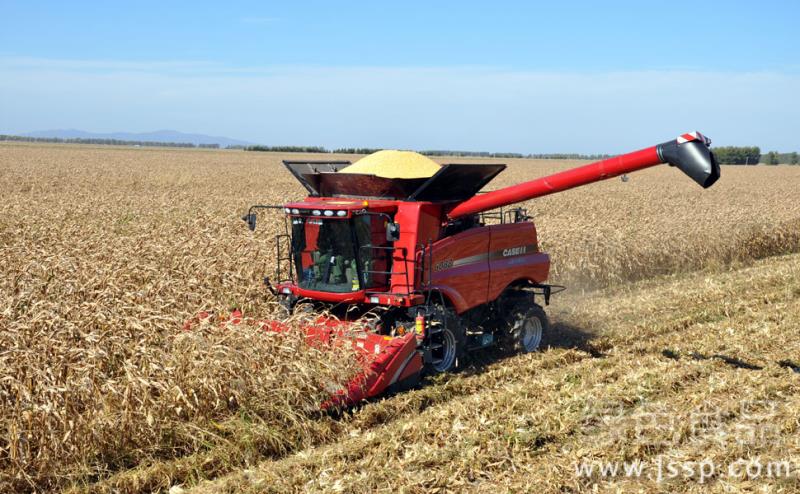 Guarantee of high yield and bumper harvest key points of mechanized harvesting technology of corn