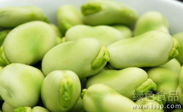 High-yield cultivation techniques of vegetable broad bean in spring