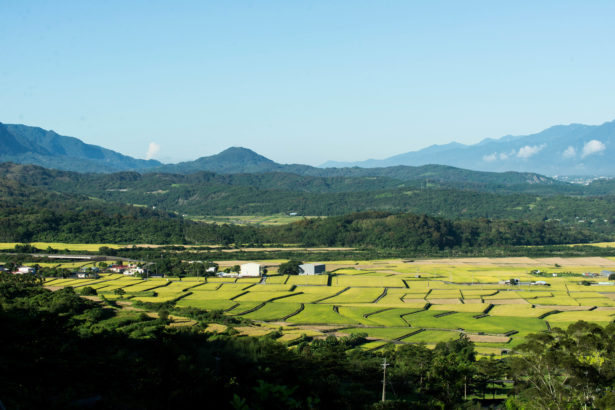 Blessing of 100 kilograms of rice, activate Huadong's strength on the ground.