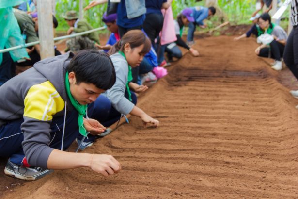 TNEa/ from hoes to Chopsticks ─ Professional effective teacher training of Food Farmers' Education and Teaching Plan