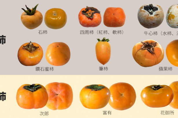 Super strong persimmon picture guide! Niu Xin, around, diamond, apple, stone persimmon, pen persimmon, rich, Jiro, Hua Yu Suo nine varieties!