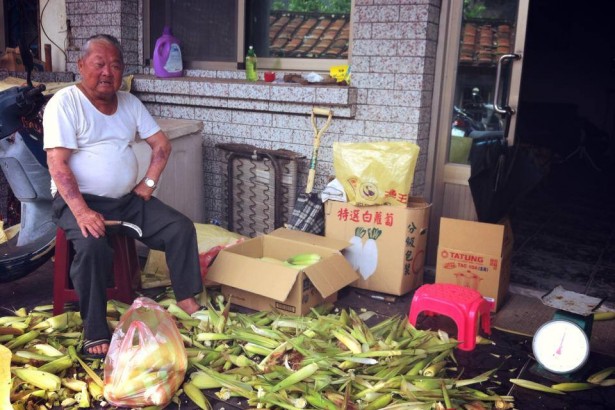 Touch the baby and wash the pants, the corn harvest of Xiao Ai in the countryside and Grandpa Ah Tu.